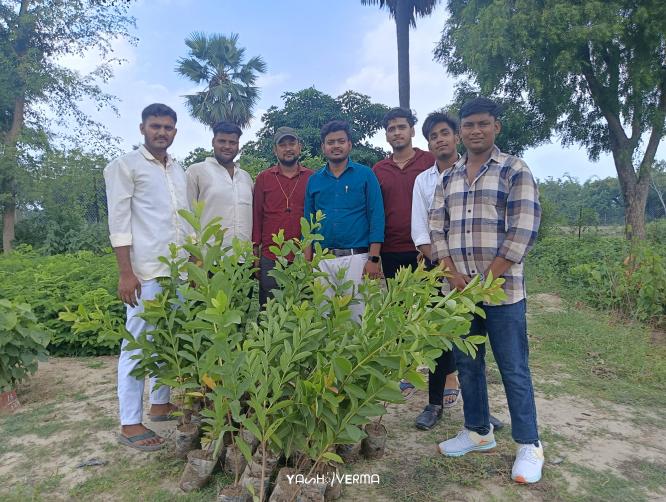 Sarvodaya P.G. College